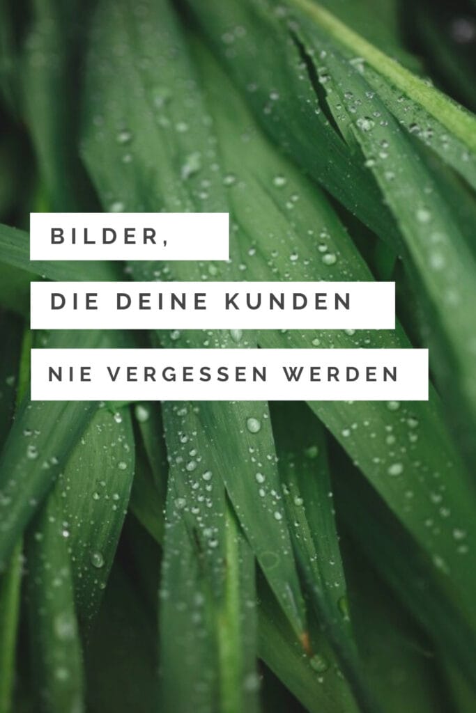 wie fotos deine brand aufpeppen